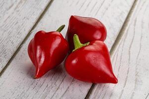 Red spicy cherry pepper heap photo