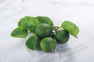 Fresh juicy ripe green lime photo