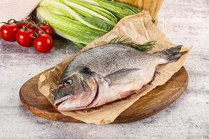 Raw dorada fish served rosemary photo