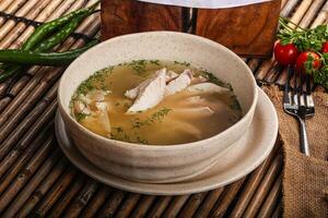 Tasty dietary chicken soup with vegetables photo