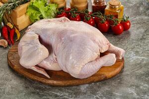 Raw whole chicken for cooking photo