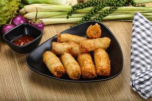 Vietnamese cuisine fried spring roll photo