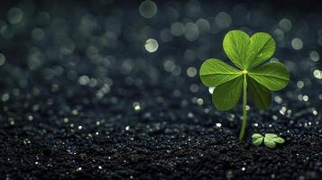 Lucky home symbol with four-leaf clover on black bokeh background photo