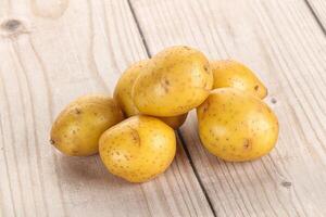 Raw young baby potato heap photo