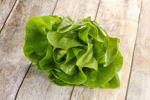 Salad leaves heap for snack photo