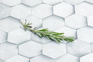 Rosemary branch - organic spicy herb photo