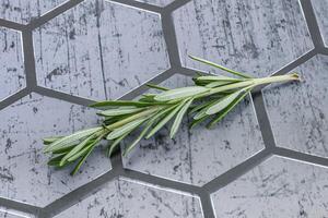 Rosemary branch - organic spicy herb photo