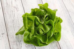 Salad leaves heap for snack photo