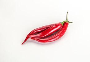 Hot and spicy chili pepper photo