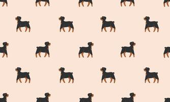 Seamless pattern with Cute Rottweiler. Dogs of different breeds. Side view. Flat illustration vector
