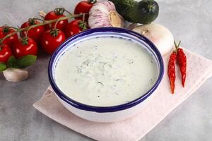 Traditional delicious appetizer greek tzatziki Turkish name cacik photo