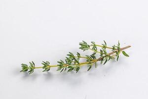 Aroma seasoning thyme stem with leaves photo