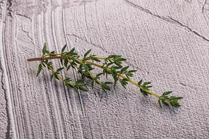 Aroma seasoning thyme stem with leaves photo