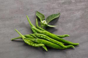 Spicy green chili pepper heap photo