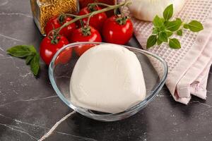 Italian cheese mozzarella buffalo ball photo