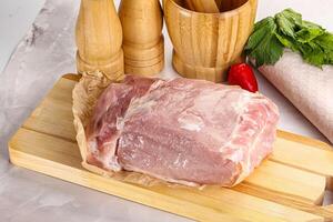 Raw uncooked pork meat loin photo