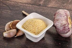 Dry granulated garlic aroma seasoning photo