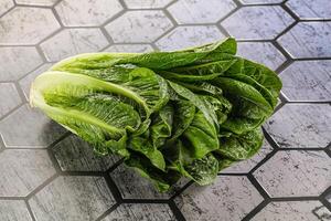 Green fresh juicy Romano salad photo