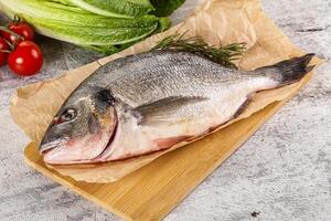 Raw dorada fish served rosemary photo