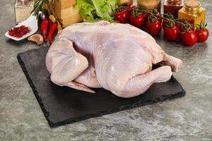 Raw whole chicken for cooking photo