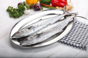 Raw mackerel fish for cooking photo