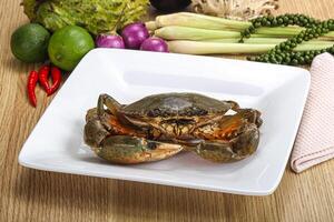 Delicous fresh raw uncooked crab photo