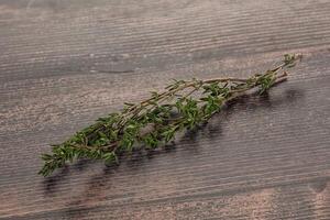 Thyme - aromatic seasoning herbal plant photo