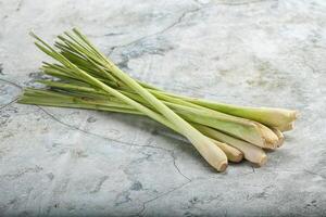 Lemongrass - Asian aroma plant for cooking photo