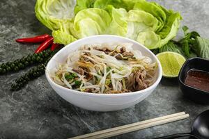 vietnamita tradicional sopa pho bo con carne de vaca foto