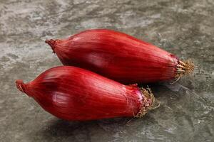 Violet raw onion for cooking photo