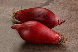 Violet raw onion for cooking photo