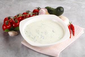 Traditional delicious appetizer greek tzatziki Turkish name cacik photo