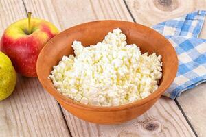 Organic cottage cheese in the bowl photo