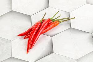 Hot and spicy chili pepper photo