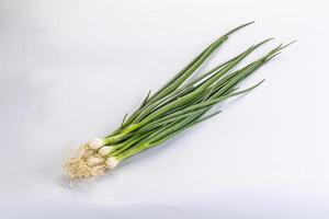 Young aroma fresh green onion photo