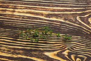 Aroma seasoning thyme stem with leaves photo