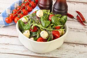 Mix salad with mozzarella and tomato photo