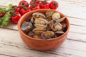 Vongole shellfish mollusc clem with butter photo