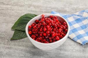 Ripe sweet wild organic cowberry photo