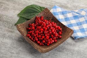 Ripe sweet wild organic cowberry photo