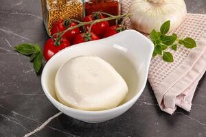 Italian cheese mozzarella buffalo ball photo