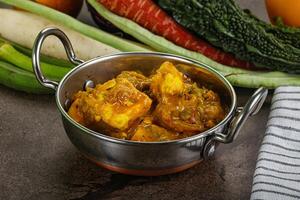 Indian cuisine - Butter Paneer with gravy photo