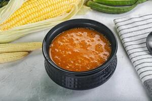 Vegan cuisine - hot tomato soup photo