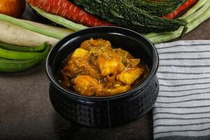 Indian cuisine - Butter Paneer with gravy photo