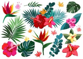 Exotic flowers and leaves. Tropical plant set. vector