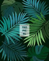 Tropical leaves, palm, monsters. vector