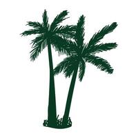 Green Coconut Tree Pair Silhouette vector