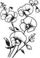 Sweet pea flowers coloring page, simplicity, Embellishment, monochrome, art, Outline print with blossoms Sweet pea, leaves, and buds Sweet pea flowers tattoos, Ornate contour Sweet pea plant vector