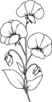 Outline print with blossoms Sweet pea, leaves, and buds Sweet pea flowers tattoos, Ornate contour Sweet pea plant for coloring pages isolated on a white background vector