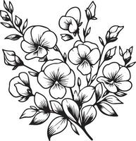 dulce guisante flores colorante página, sencillez, embellecimiento, monocromo, arte, contorno impresión con flores dulce guisante, hojas, y brotes dulce guisante flores tatuajes, florido contorno dulce guisante planta vector